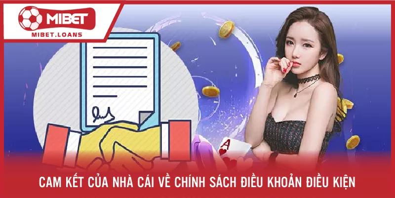 Cam kết của nhà cái về chính sách điều khoản điều kiện